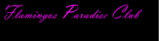Cuadro de texto: Flamingos Paradise Club